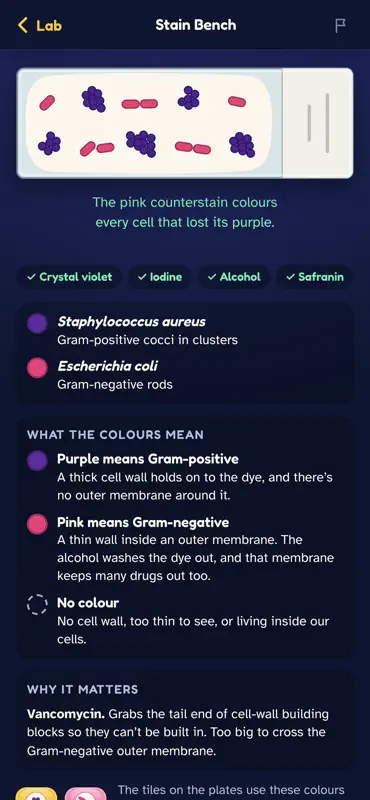 Go Narrow: Antibiotics Game screenshot 7 of 9