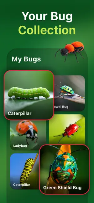 Bug+ Identifier . screenshot 3