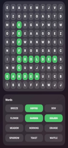 LJ's Word Search Screenshot 2 of 3