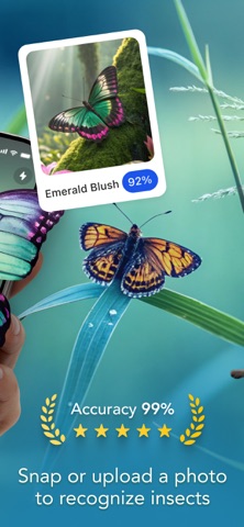Insect Finder: Bug Identifier Screenshot 2 of 4