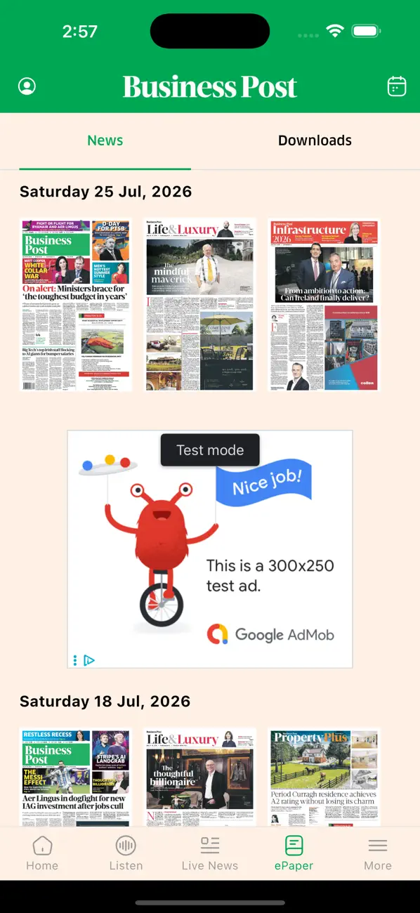 Screenshot #3 pour The Business Post
