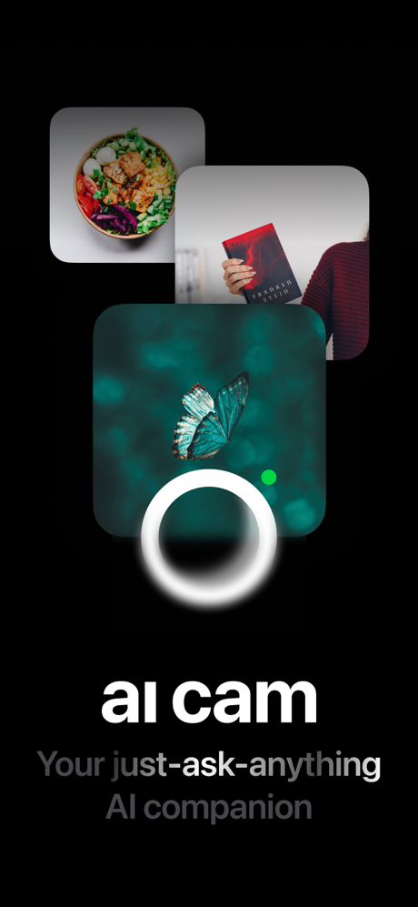 AI Cam: Identify Anything screenshot 1