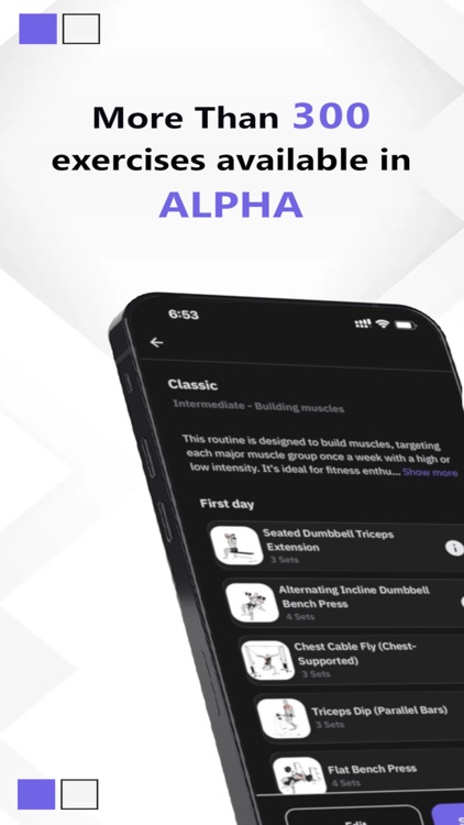 Alpha: gym and fitness