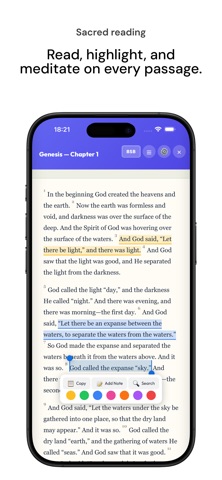 Holymind screenshot