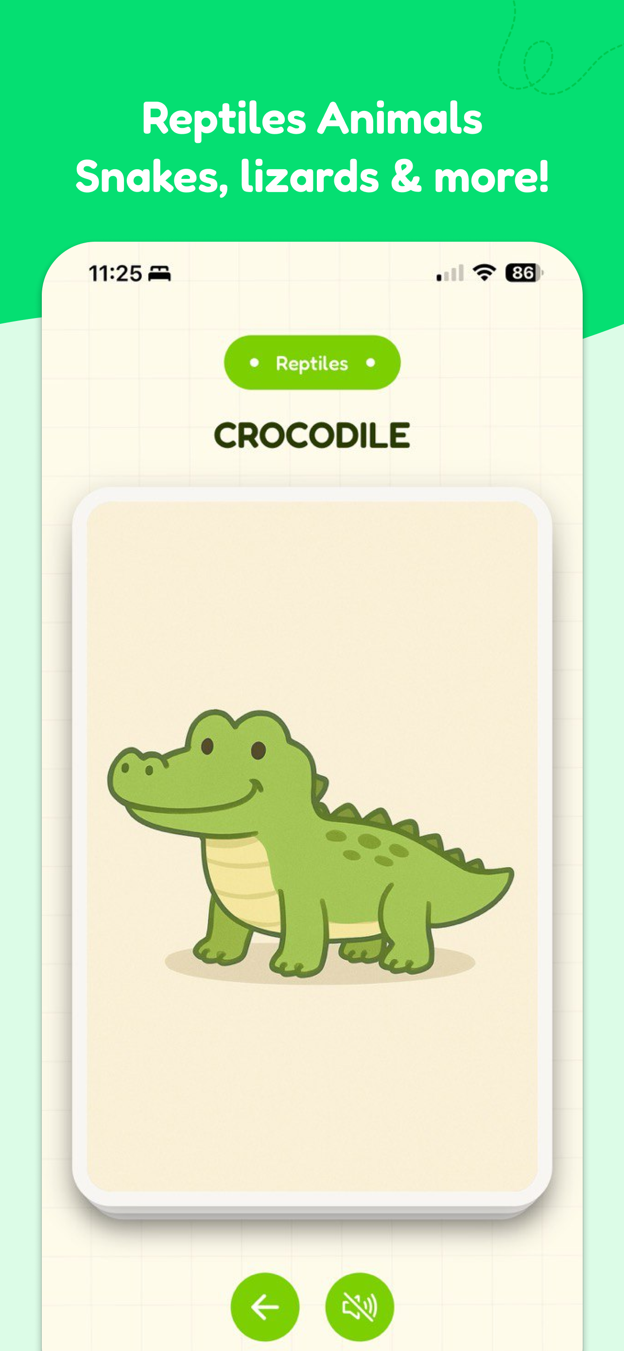Learn Animals: AniCards