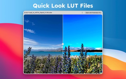 LUT Preview screenshot 3