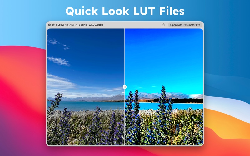 LUT Preview screenshot 3