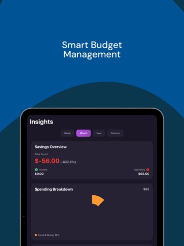 VibeBudget iPad screenshot