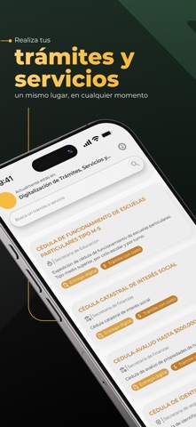 APIPAGO Screenshot 2 of 5