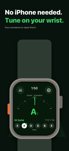 oTuner - Guitar & Bass Tuner screenshot 3