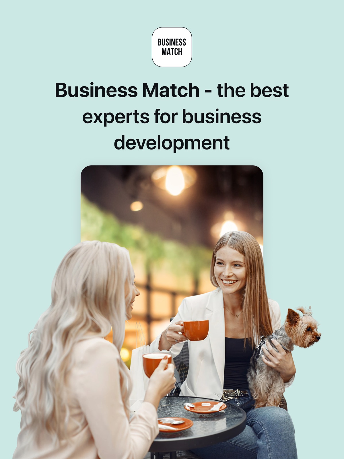 Business Match: Social App ipad screenshot 1