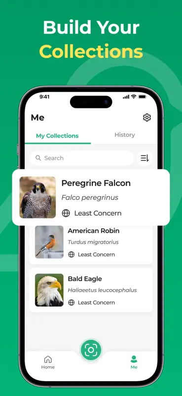 Bird Song Identifier-BirdScope screenshot 6 of 6