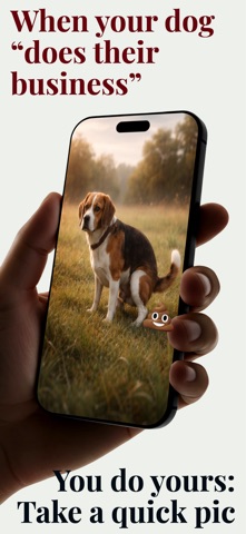 Dog Poop Museum screenshot