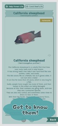 Cozy Seal-chan Screenshot 5 of 7