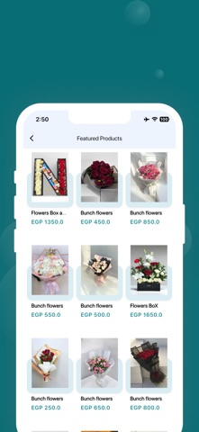 Nyroz Flowers iPhone screenshot