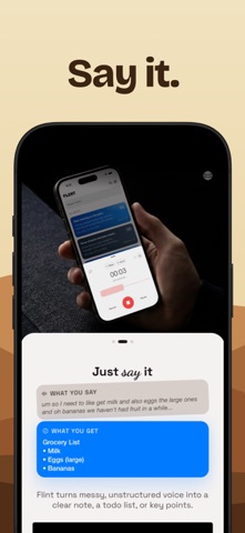 Flint Voice Screenshot 2 of 10