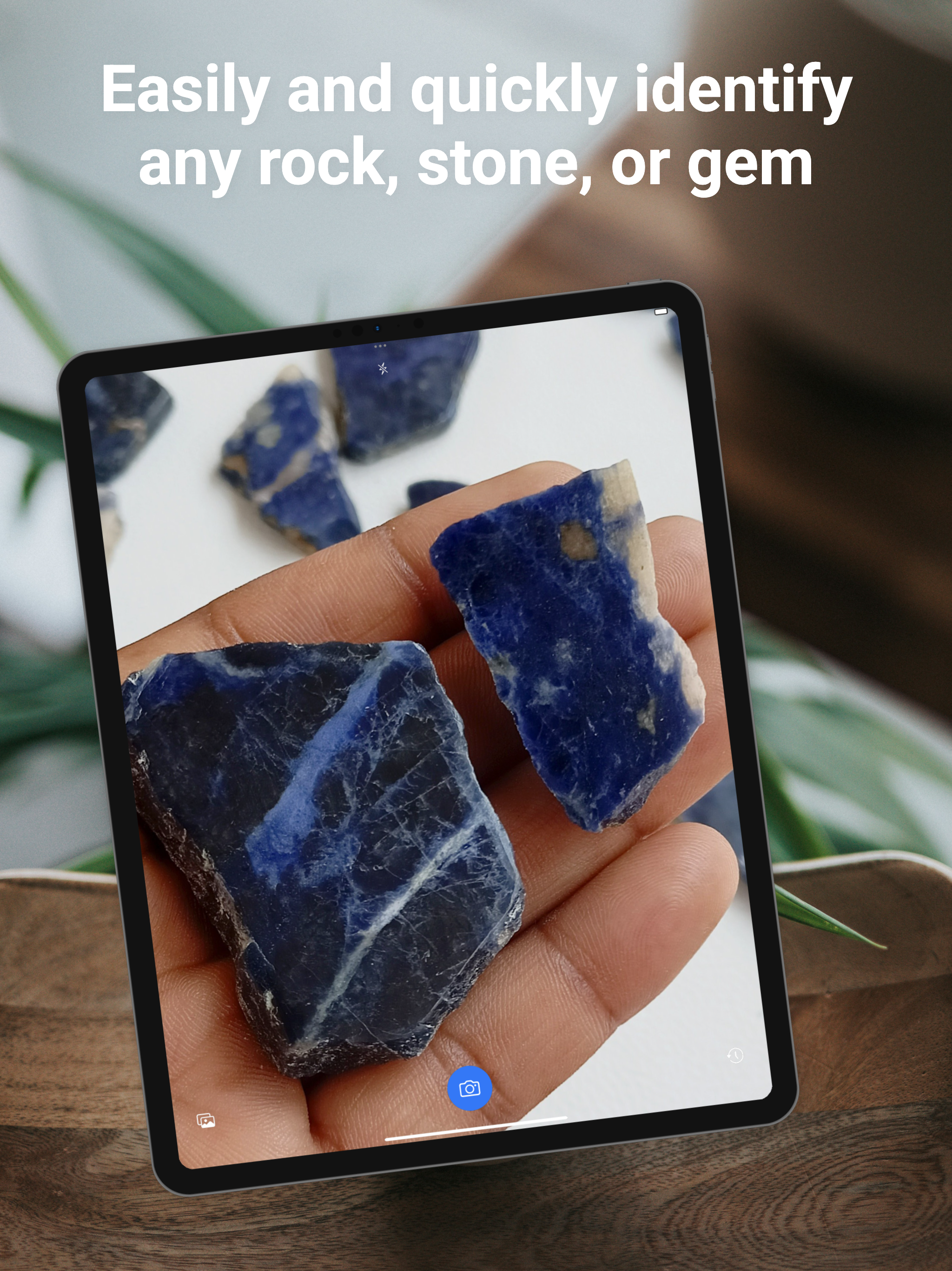 Gem, Stone, & Rock Identifier