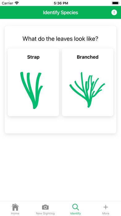 SeagrassSpotter Screenshot