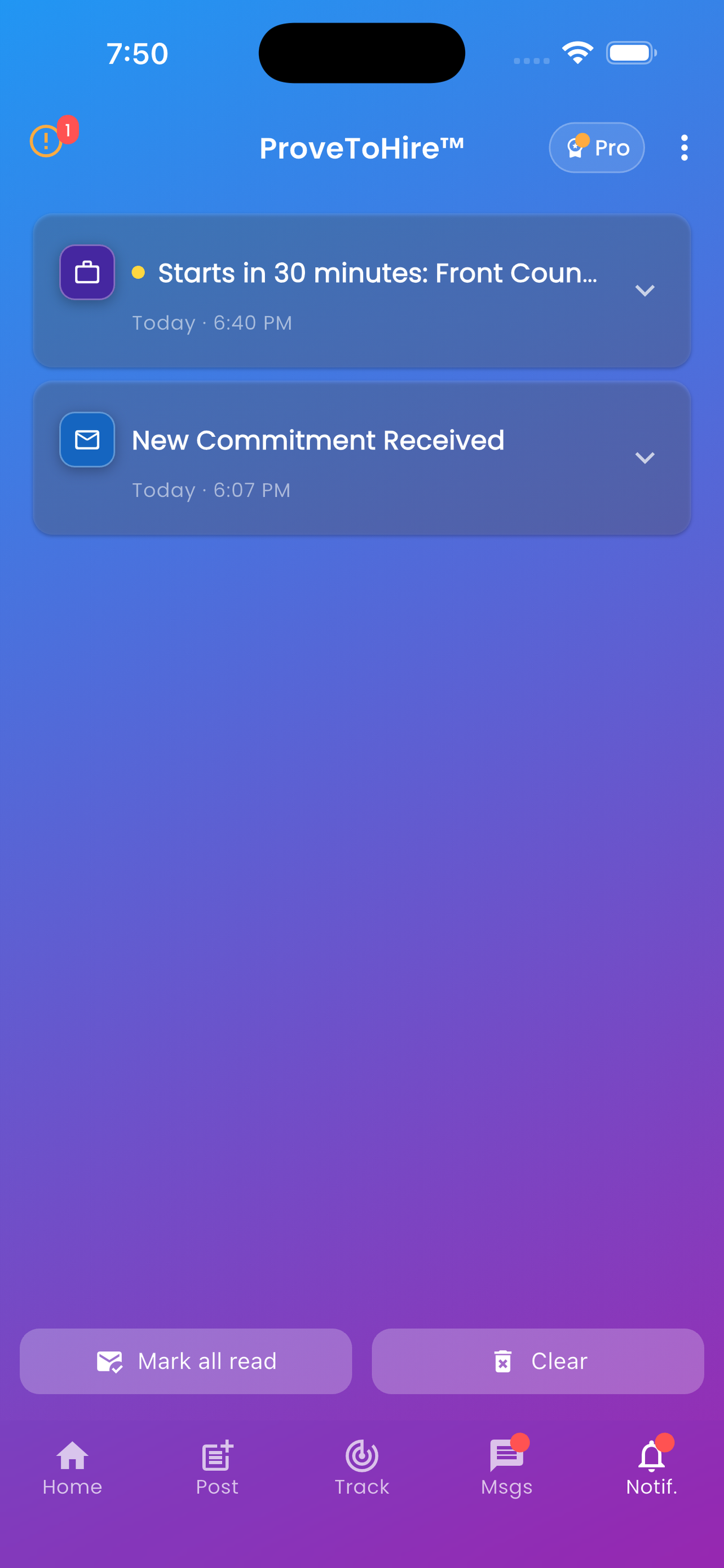 ProveToHire screenshot 8