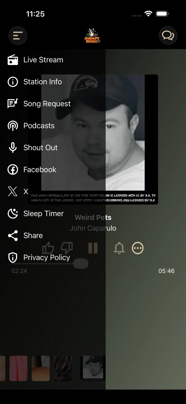 Screenshot #2 pour Grumpy Dingo Radio