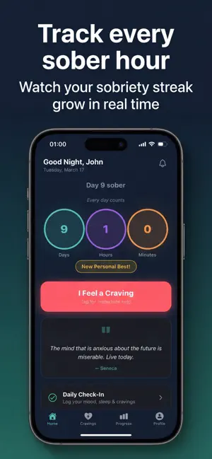 Sobrio - Quit Alcohol & Thrive screenshot 1