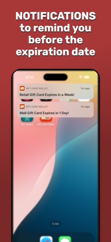 Gift Card Wallet Manager screenshot