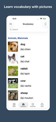 French topic vocabulary iPhone screenshot