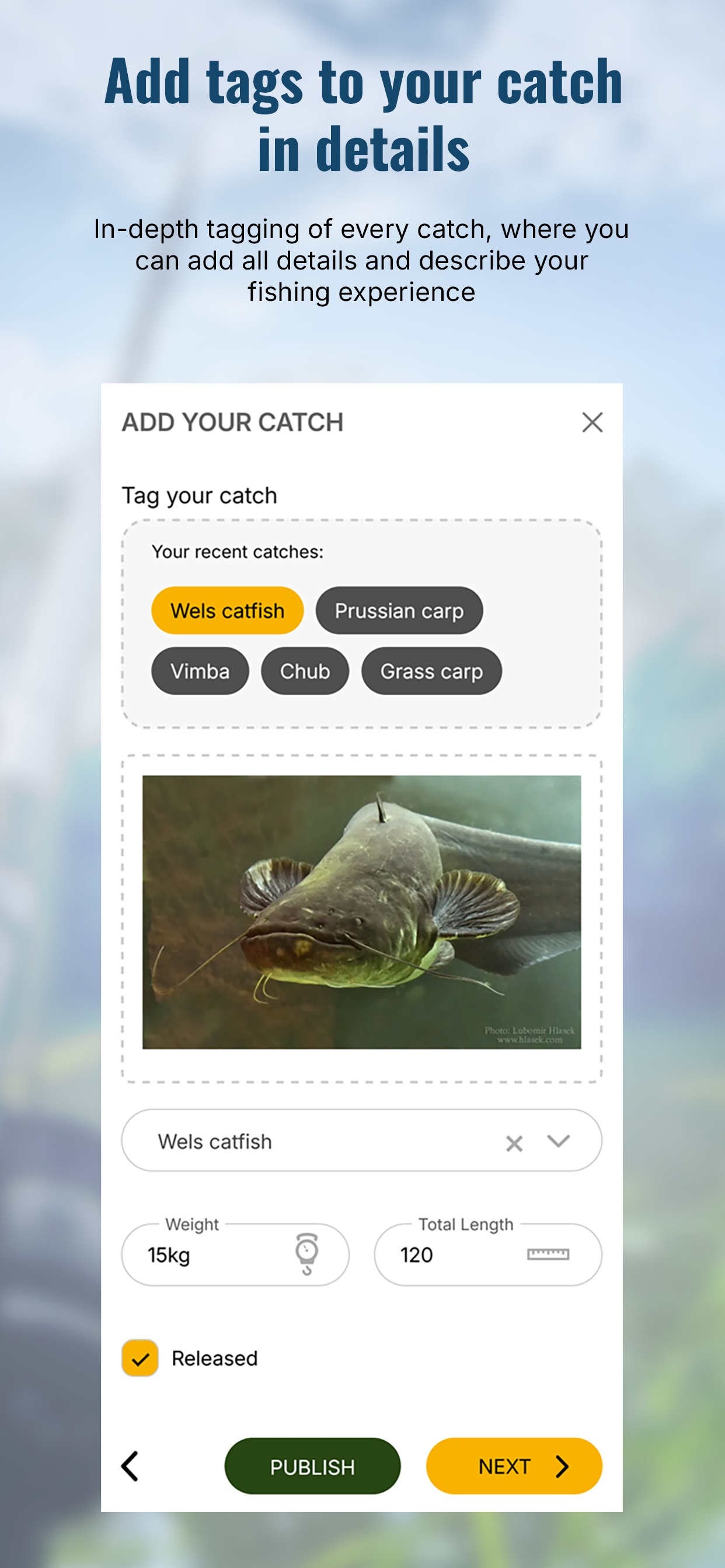 Tag My Fish