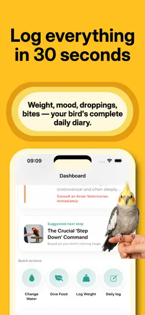 Pet Bird Coach screenshot 3