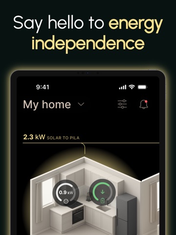 Pila Energy iPad screenshot