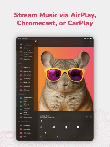 Evermusic Pro: music player iPad screenshot