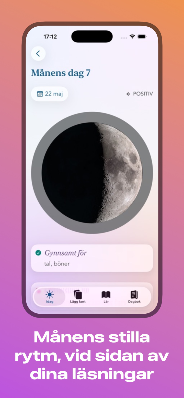 Änglarnas Tarot läsning screenshot 7