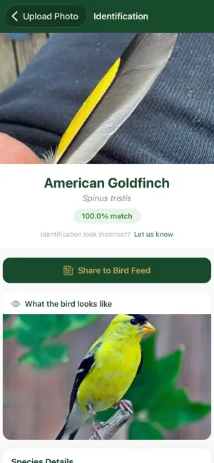 Quill: Bird Feather ID screenshot 2
