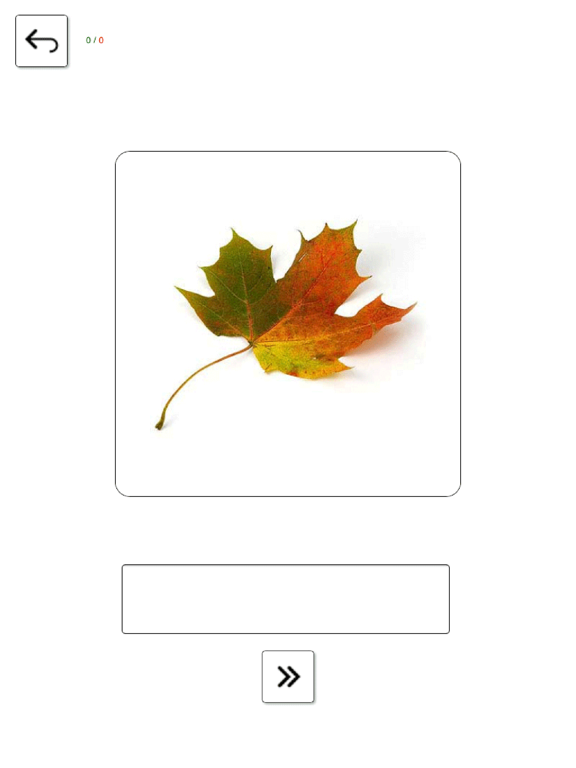 Learn and play Ukrainian + iPad screenshot