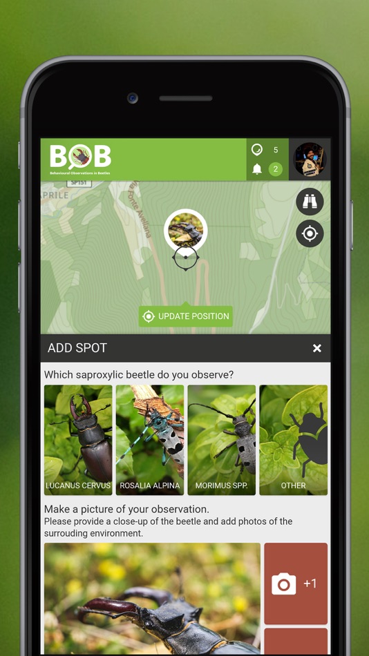 #2. BOBeetles (iOS) 由: SPOTTERON Gmbh