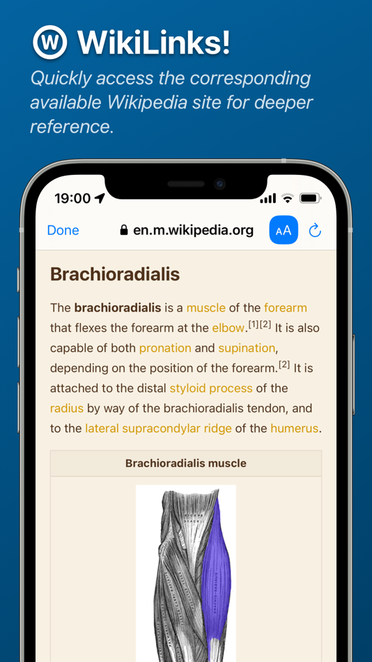 #5. Anatom (macOS) 由: Alvaro Garcia