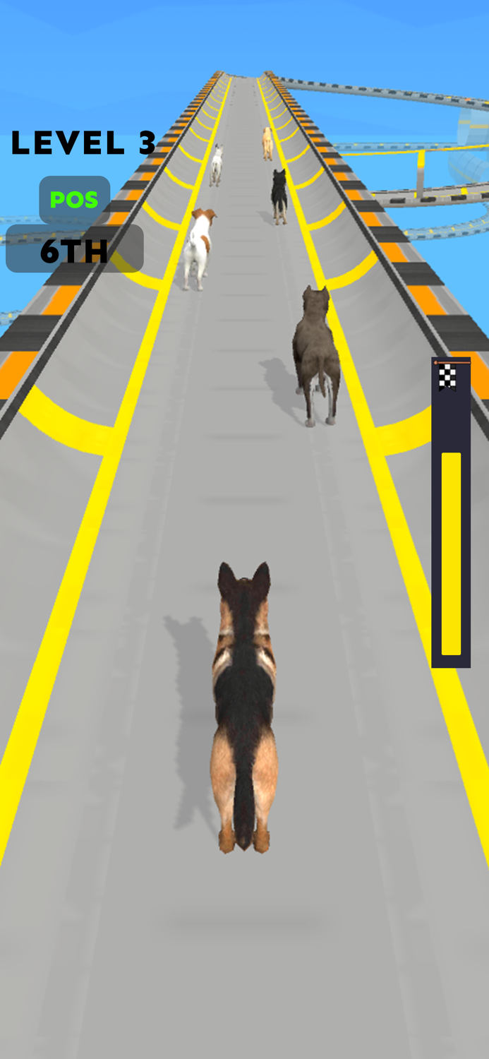 Dog Racing Master Pet Games