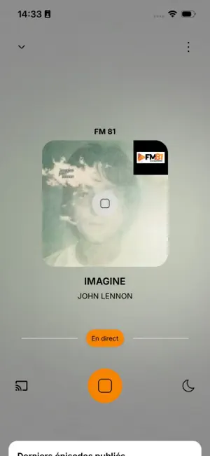 FM 81 screenshot 4