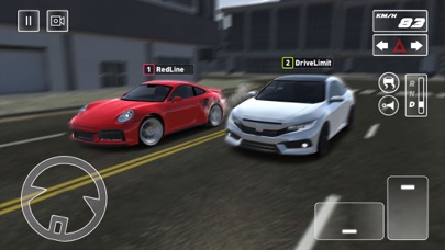 Critical Car Driving Screenshot