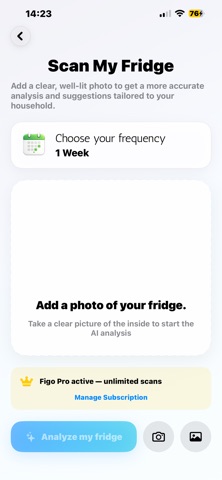Figo AI screenshot