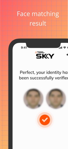 SkyID identification screenshot
