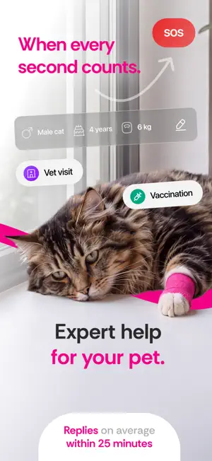 Vetee screenshot 3