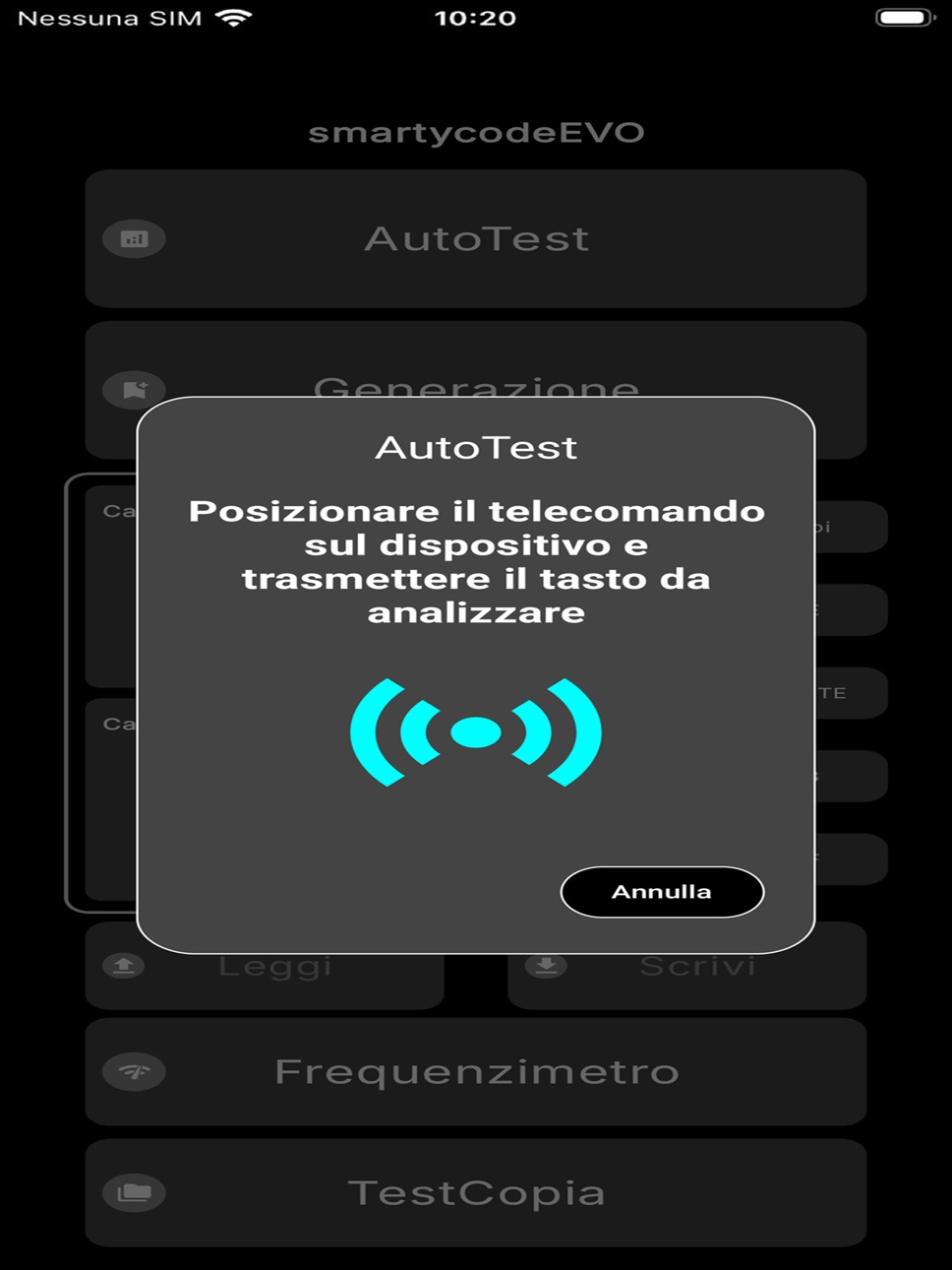 iPad screenshot