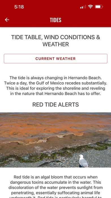 Hernando Beach Screenshot