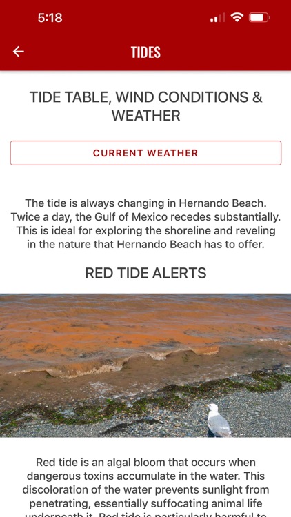 Hernando Beach screenshot-6