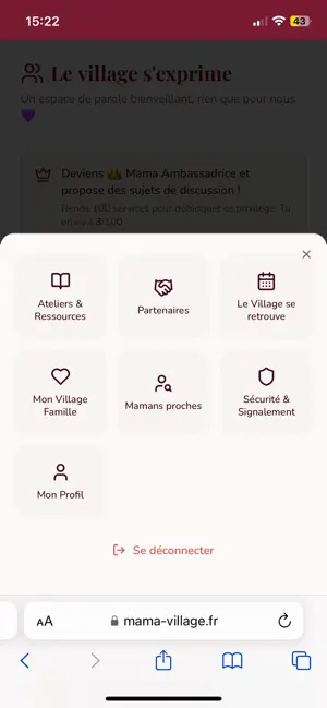 Village des Mamans screenshot 4