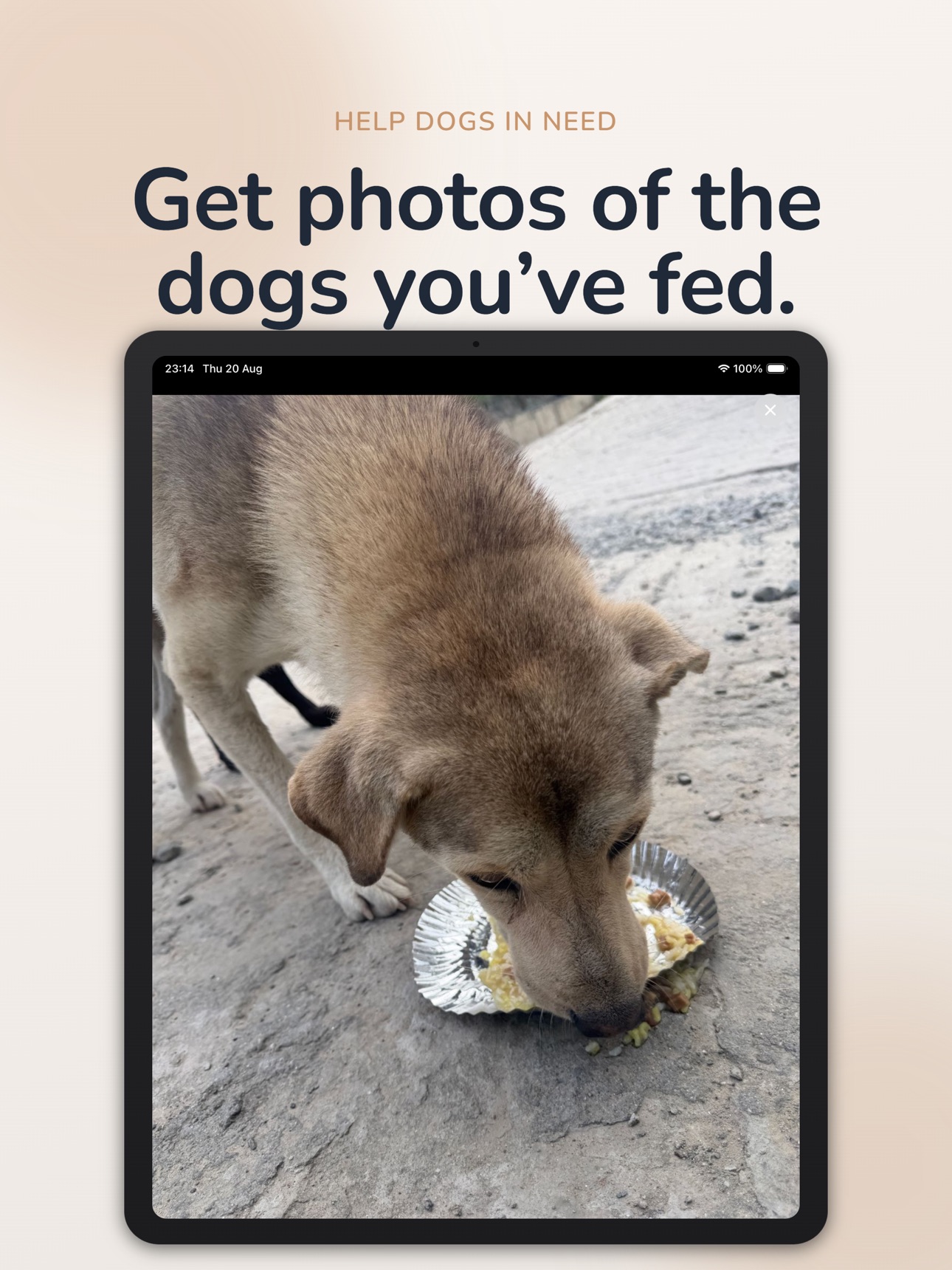 Screenshot 8 of PawGPT