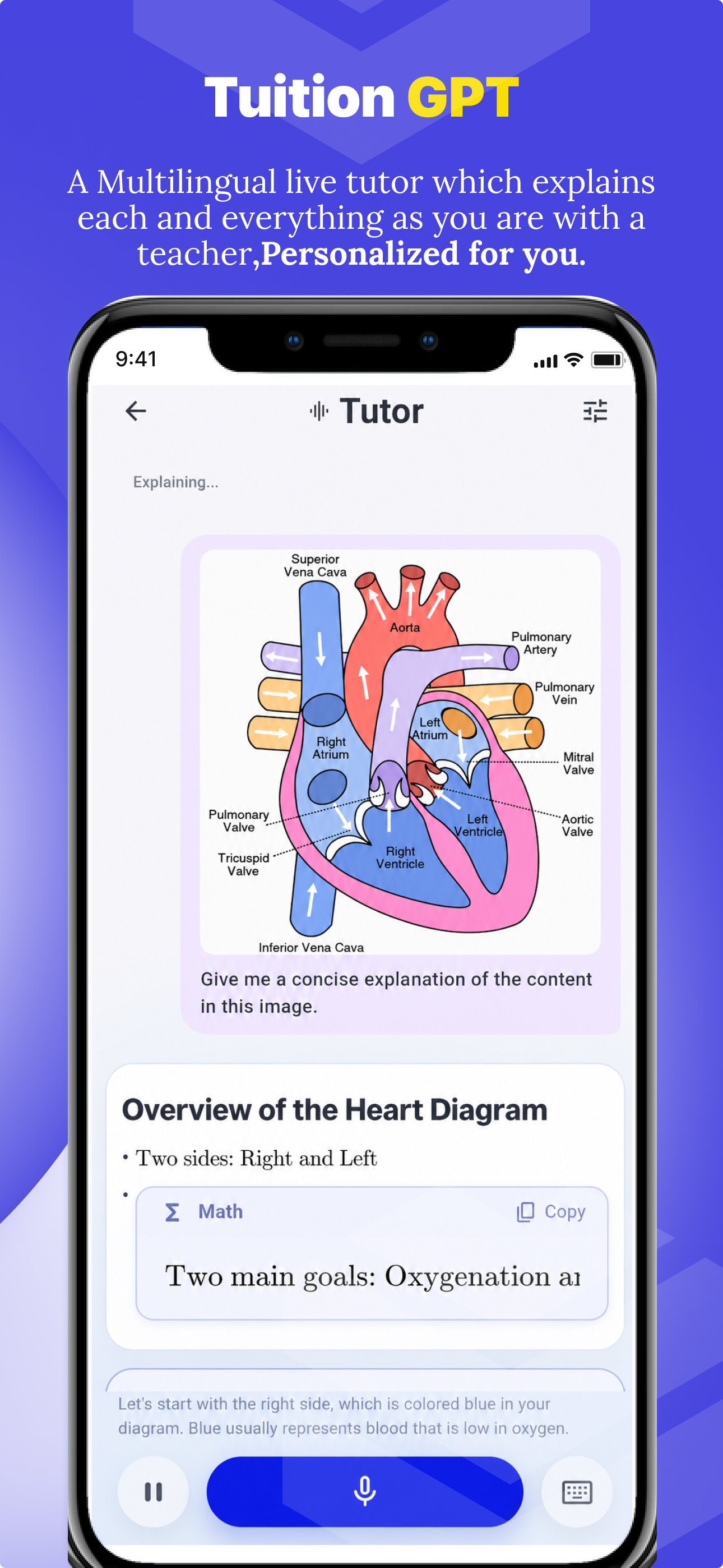 TSL AI Tutor & Study Companion screenshot 5
