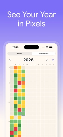 MoodPixel: Year in Pixels Screenshot 2 of 5