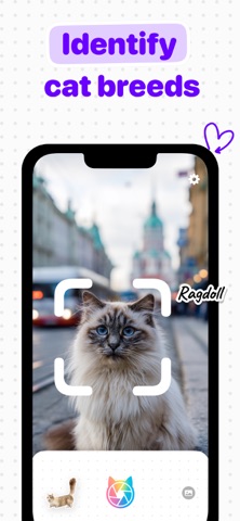 Cat Identifier: Catsnap Screenshot 1 of 4